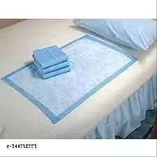 DNOTRO DISPOSAL UNDERPAD SHEET 10 PC